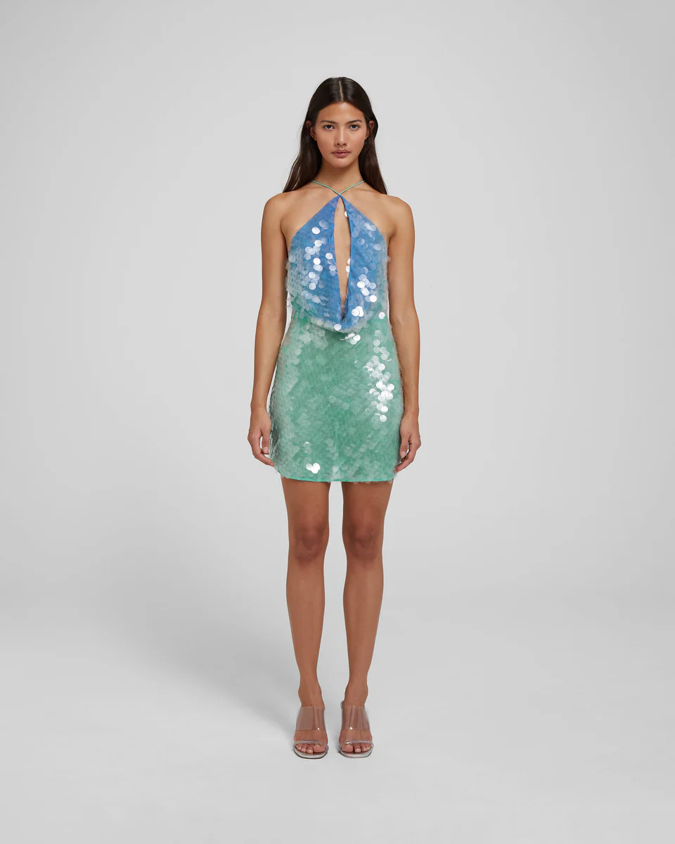 Amelie Mini Dress